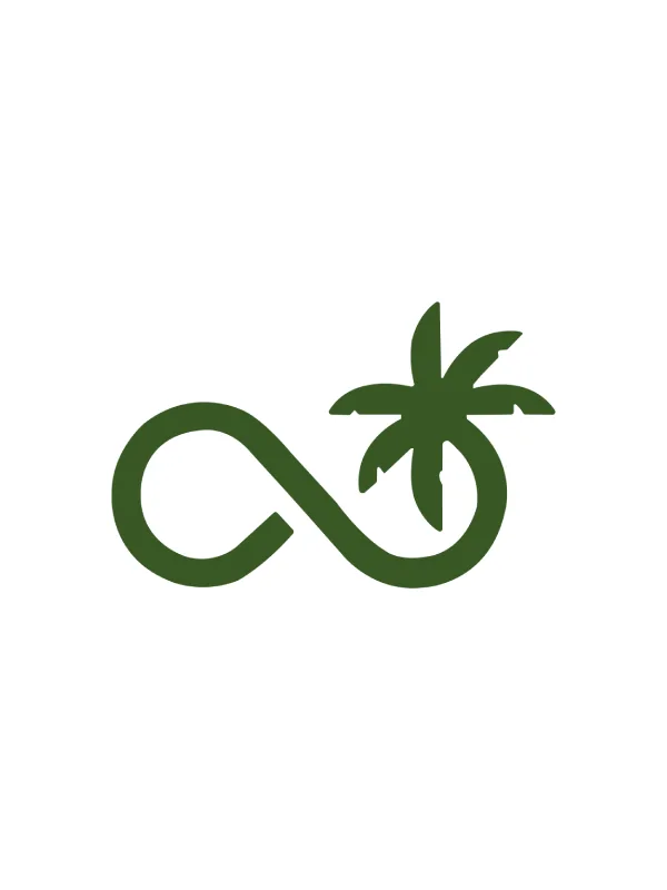 Palmier de San José (Brahea brandegeei) - InfiniPalm